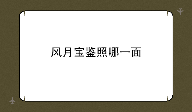风月宝鉴照哪一面