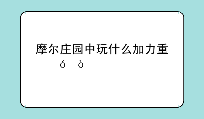 摩尔庄园中玩什么加力量值？