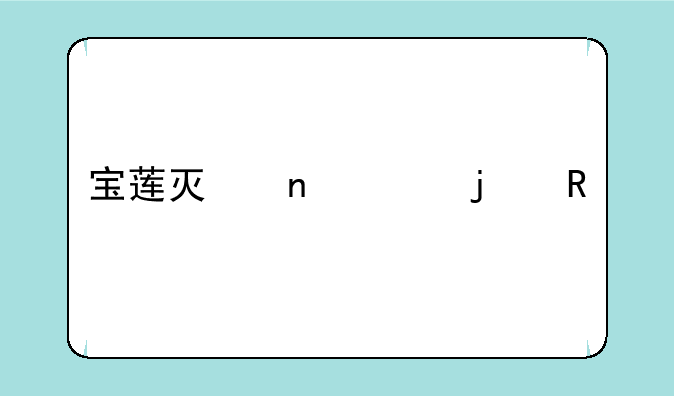 宝莲灯相关的电视剧