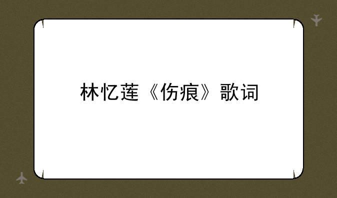林忆莲《伤痕》歌词—歌