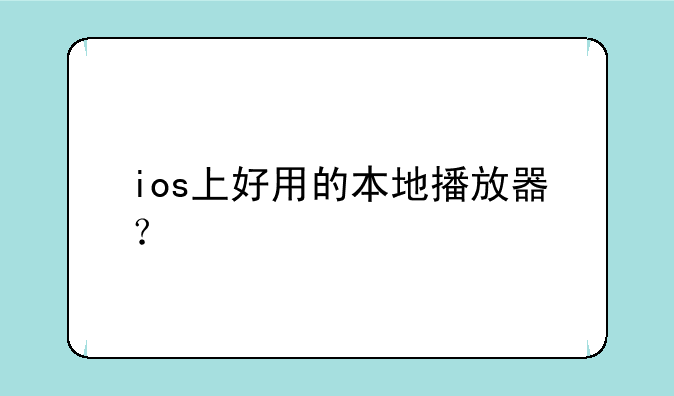 ios上好用的本地播放器？