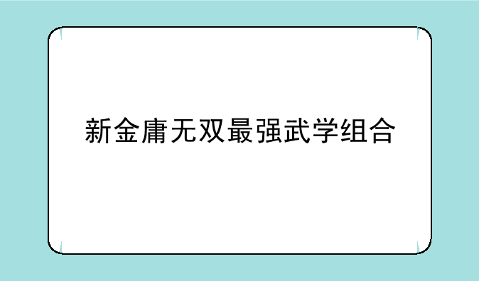 新金庸无双最强武学组合