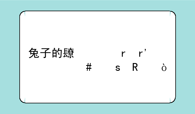 兔子的长耳朵有什么作用？