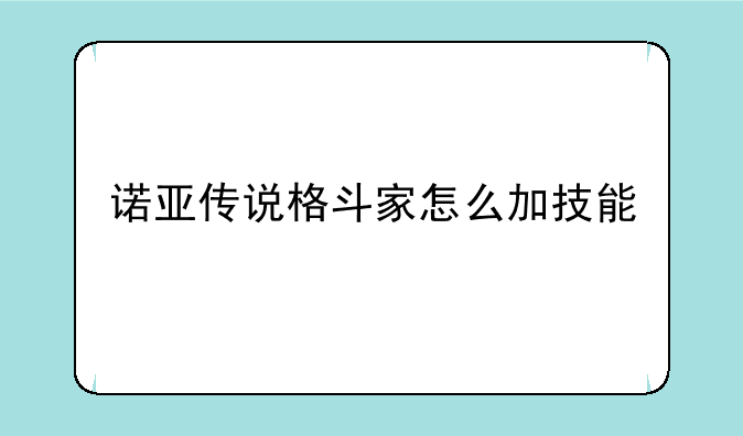 诺亚传说格斗家怎么加技能