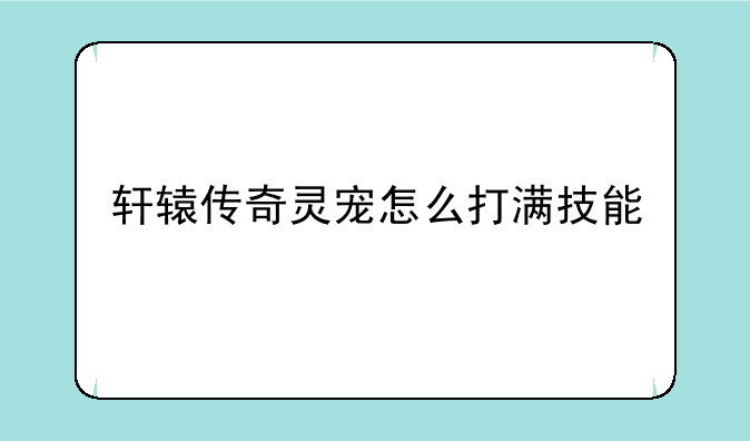 轩辕传奇灵宠怎么打满技能