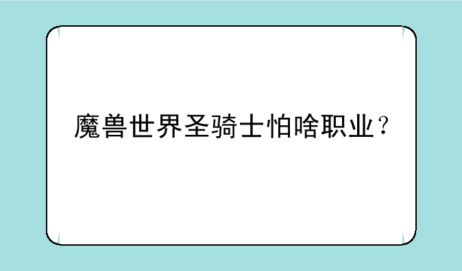 魔兽世界圣骑士怕啥职业？