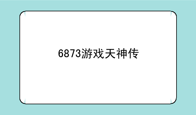 6873游戏天神传