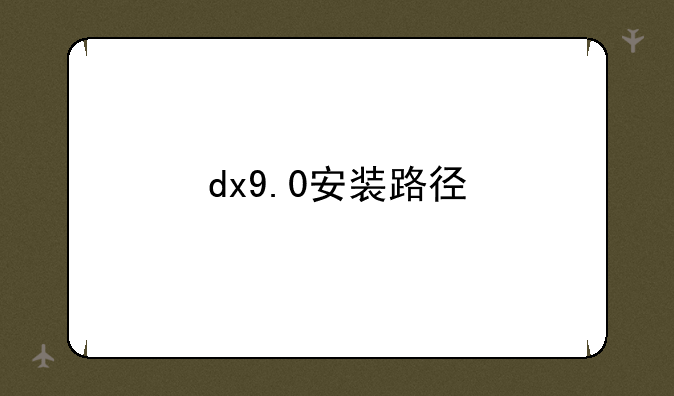 dx9.0安装路径