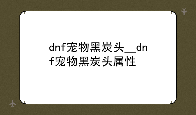 dnf宠物黑炭头__dnf宠物黑炭