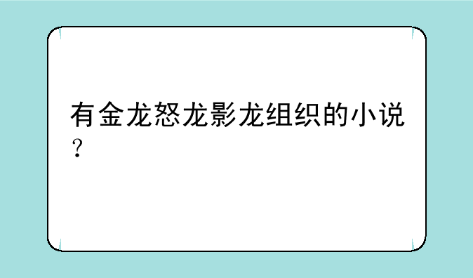有金龙怒龙影龙组织的小说？
