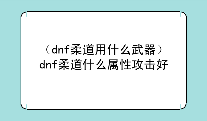 （dnf柔道用什么武器）d