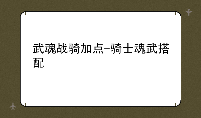 武魂战骑加点-骑士魂武搭